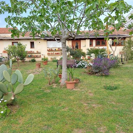 Garden Rooms Ольбія Екстер'єр фото