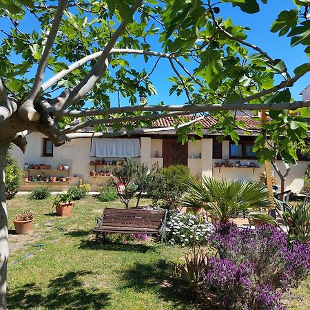 Garden Rooms Ольбія Екстер'єр фото